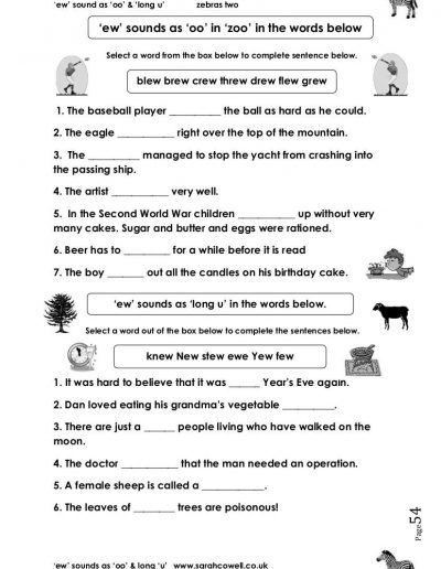 Zebras Spell Really Well 2: Focus on Common Double Vowels workbook