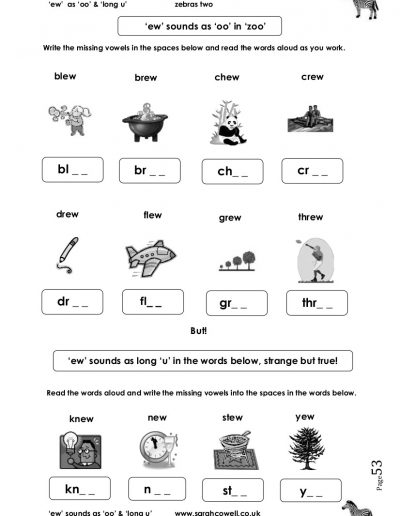 Zebras Spell Really Well 2: Focus on Common Double Vowels workbook